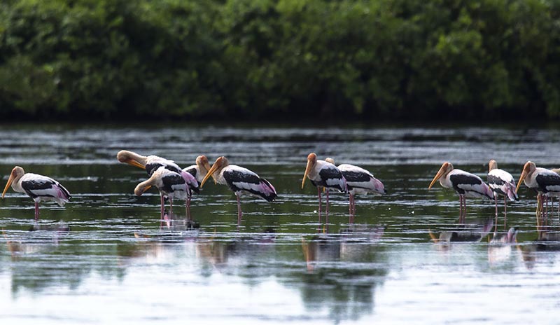 Nam Dinh & Xuan Thuy National Park Eco Bike tour in 2 Days
